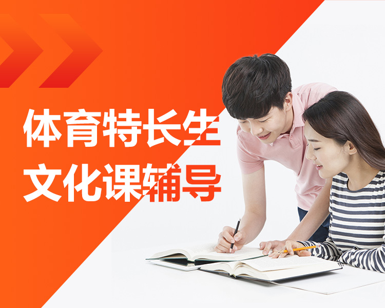 艺考课程bannersj